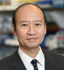 Stephen H. Tsang, MD, PhD