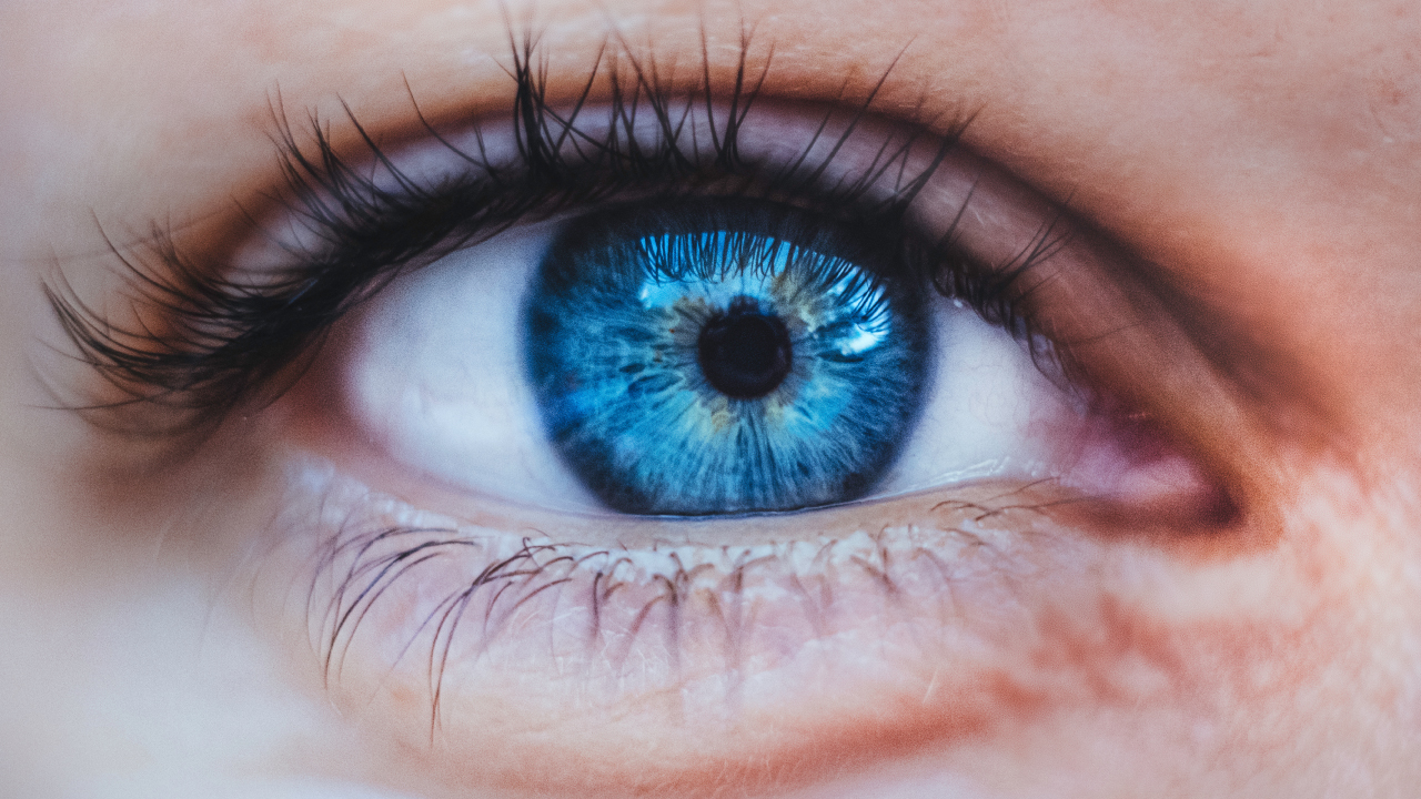 Infectious Retinitis: A Review | Retinal Physician